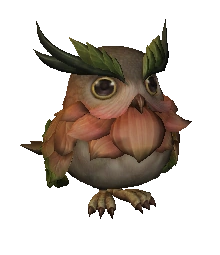 pet15